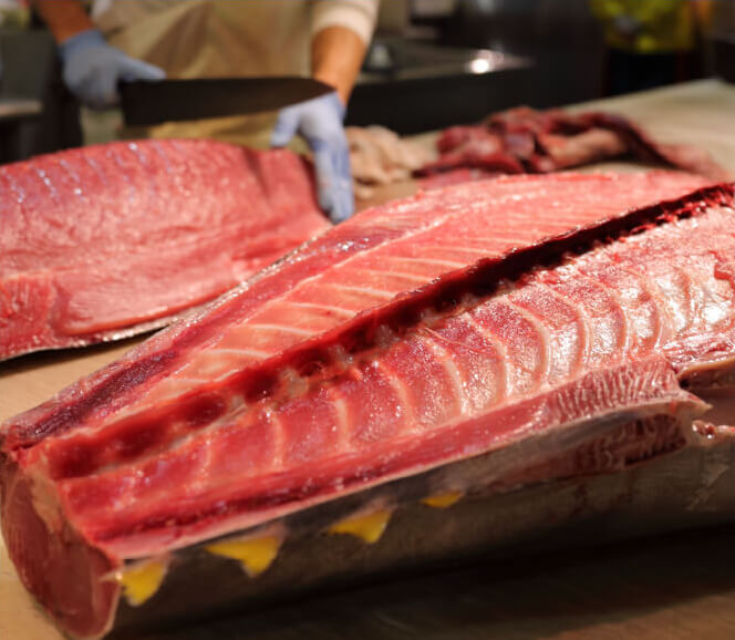 マグロの写真