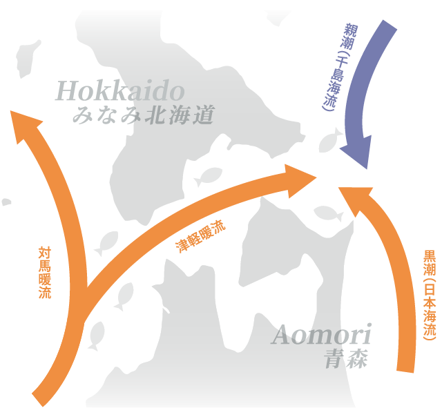津軽海峡の海流図