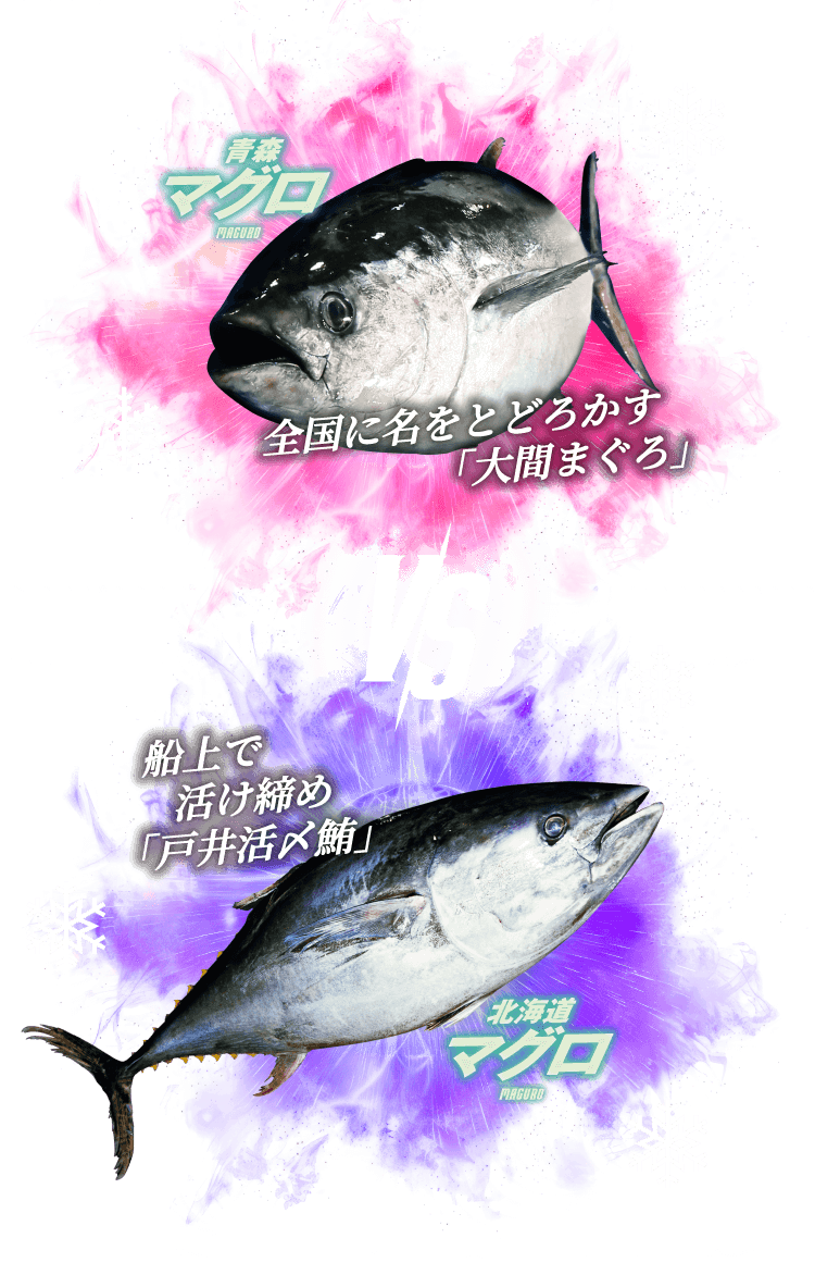 青森マグロ VS 北海道マグロ