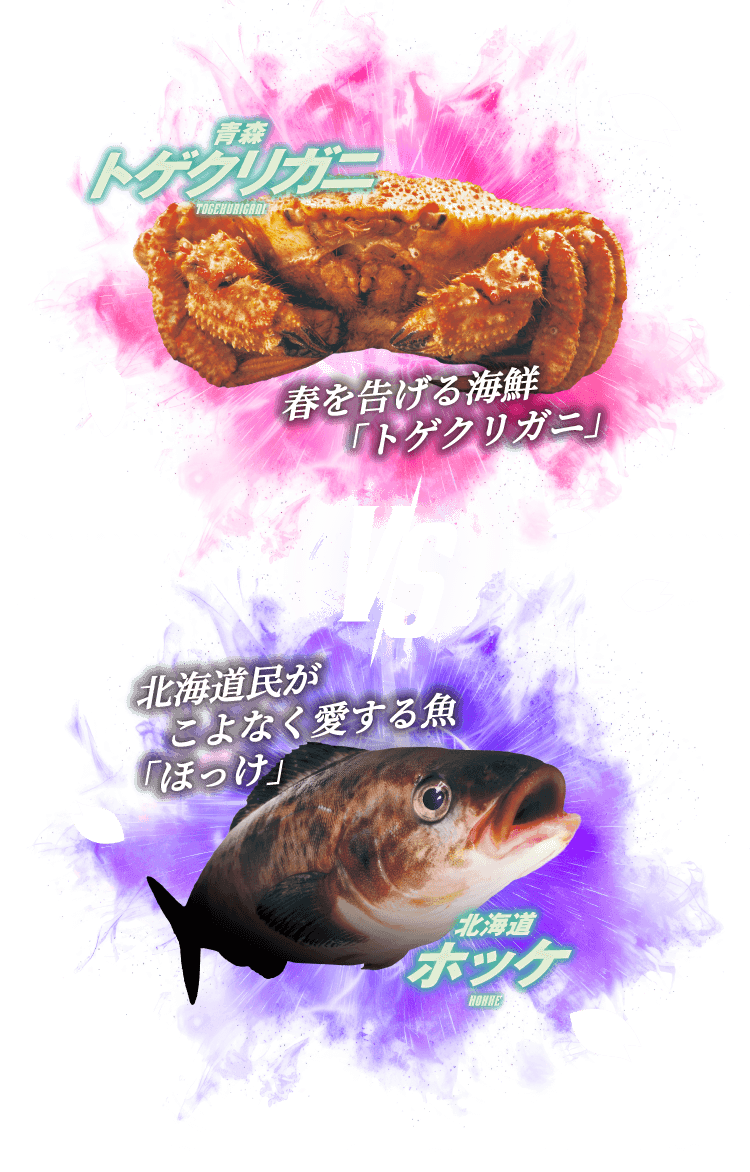 青森トゲクリガニ VS 北海道ホッケ