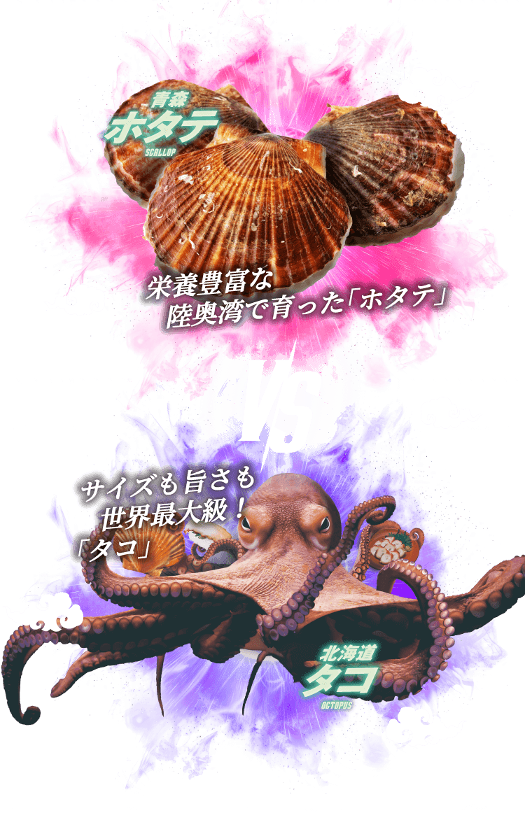 青森ホタテ VS 北海道タコ