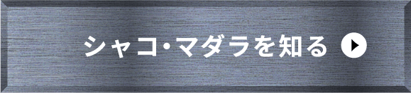 タコ・ホタテを知る