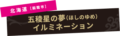 北海道［函館市］五稜郭の夢イルミネーション