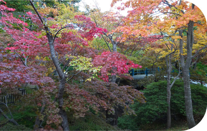 函館公園