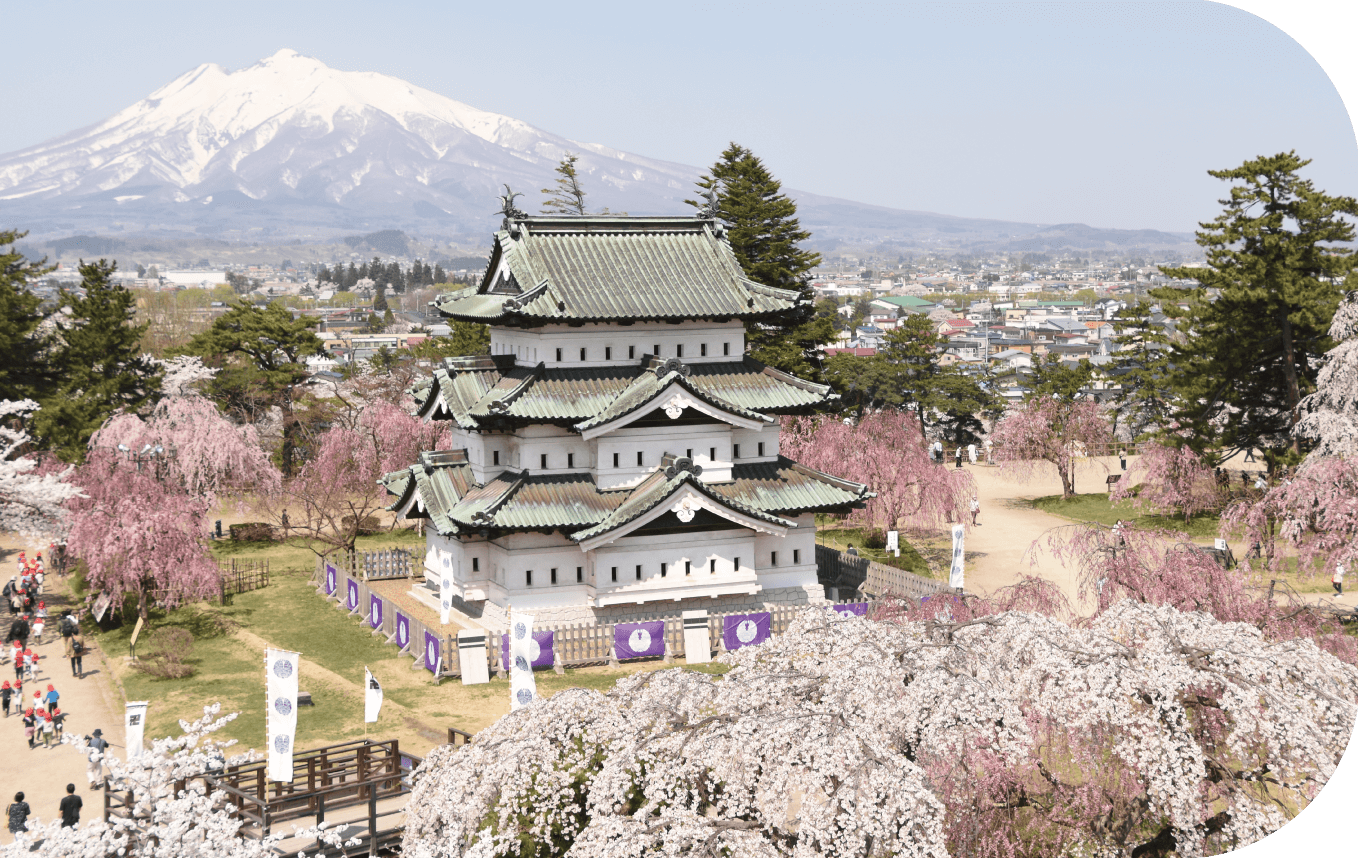 弘前公園の桜