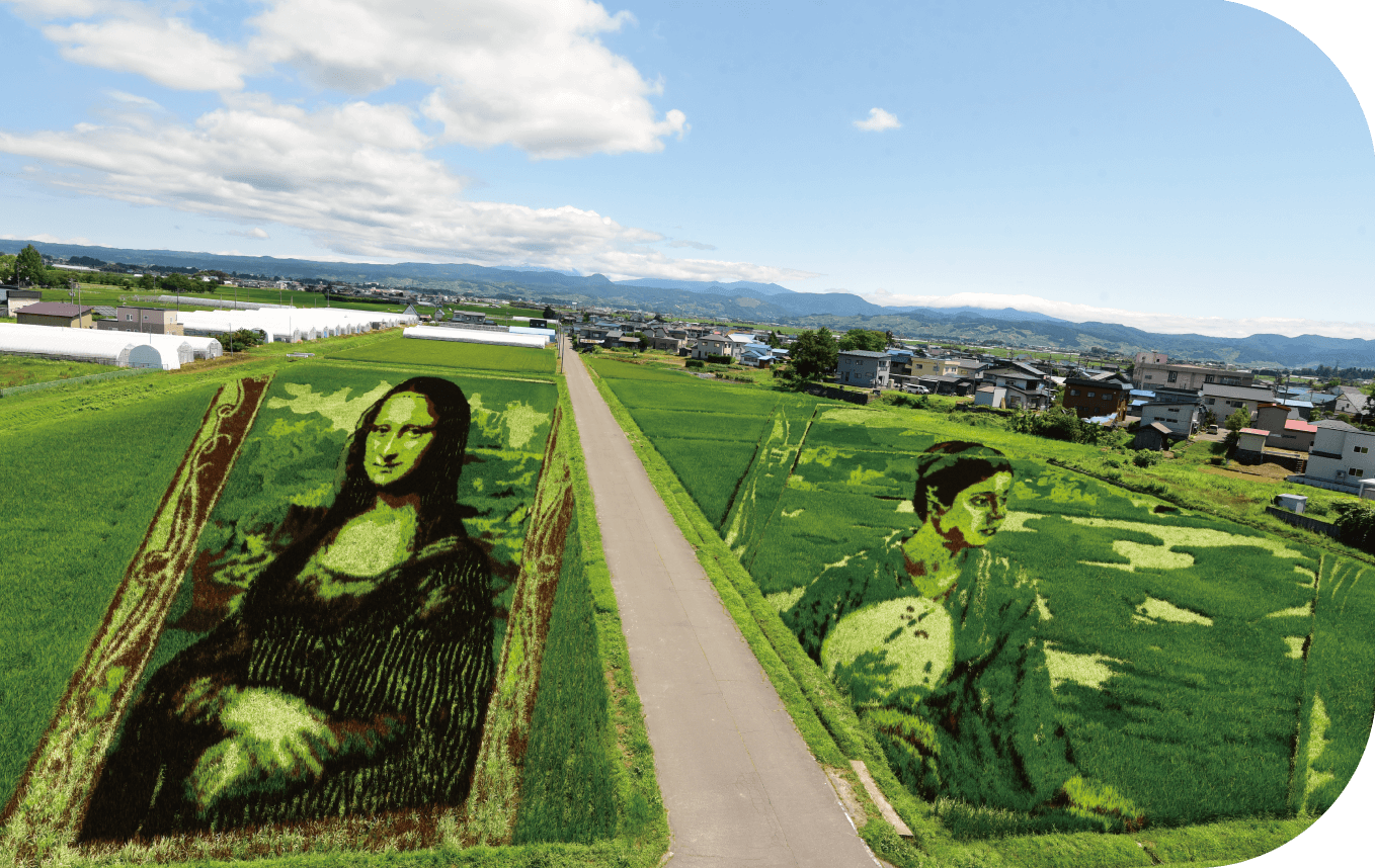 田舎館村田んぼアート