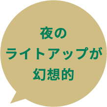 夜のライトアップが幻想的
