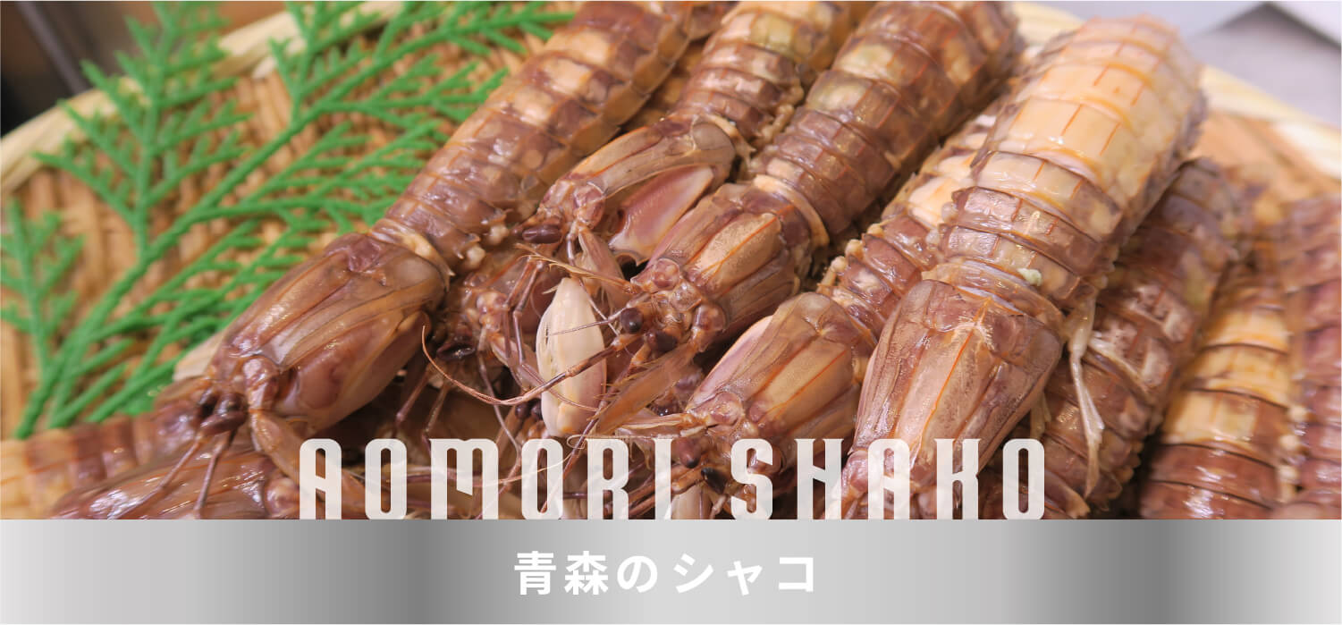 青森のシャコ
