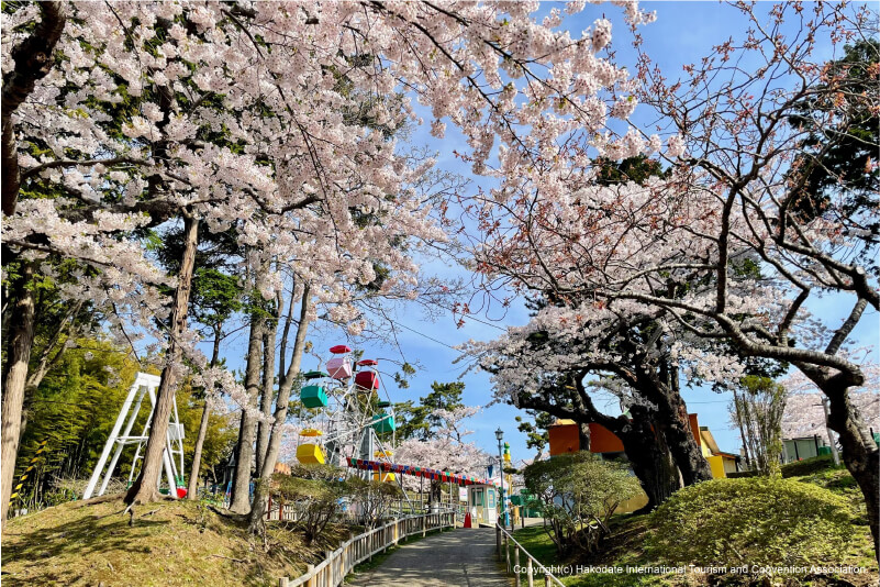 春のみなみ北海道のイメージ