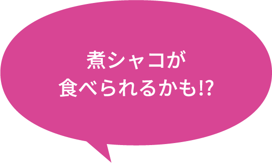 煮シャコが食べられるかも!?