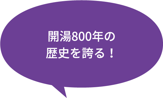 開湯800年の歴史を誇る！