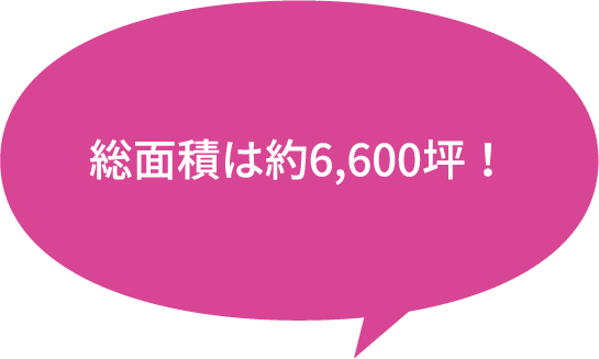 総面積は約6,600坪！
