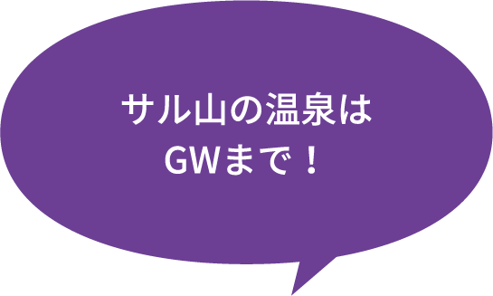 サル山の温泉はGWまで！