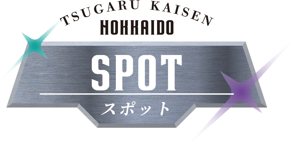 スポット